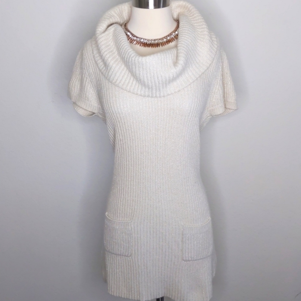 I.N.C  Women Sweater dress Size Large